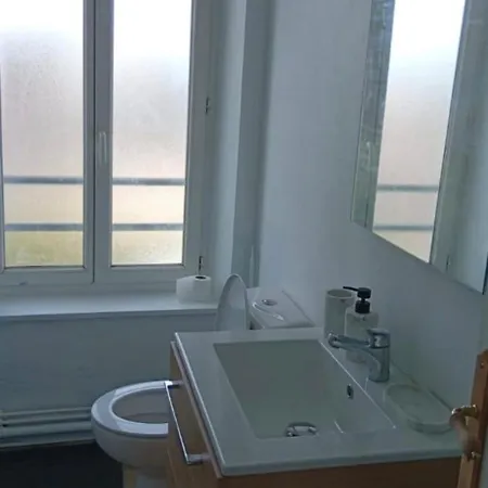 公寓 Cosy 50 M2 Renove Avec Jardin Commun *