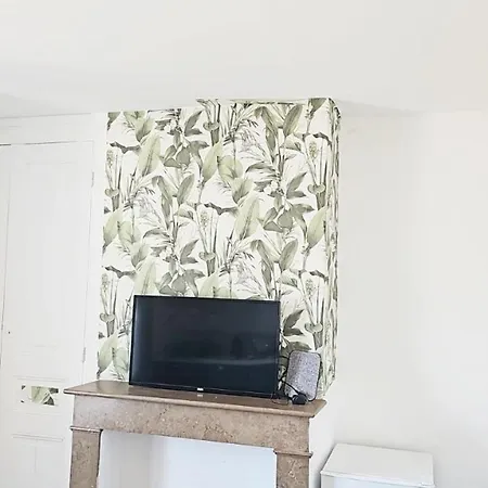 公寓 Cosy 50 M2 Renove Avec Jardin Commun *